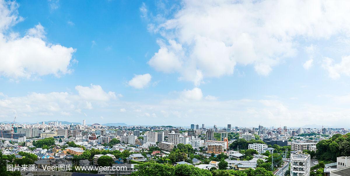 2025车险全知晓，财富稳稳握手中！——智慧投保，畅行无忧