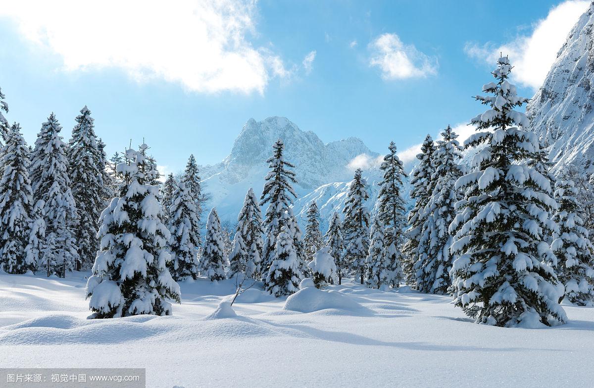 最全的车险购买指南：一文解惑，购车无忧