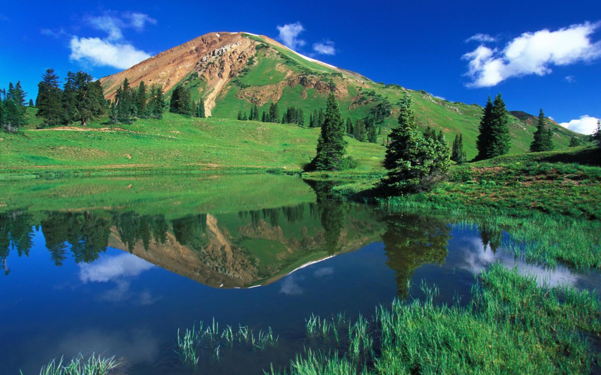 行车安全必修课：预防机动车事故的科学指南