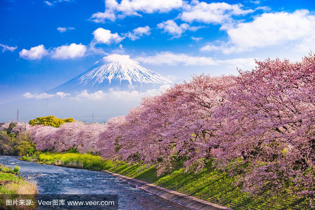 科学制定车险防灾防损清单：守护行车安全的关键举措